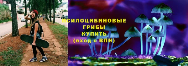 apvp Алзамай