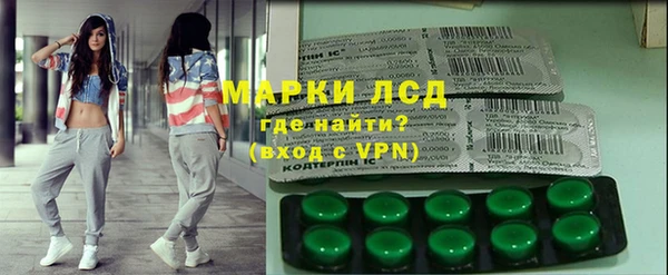 apvp Алзамай